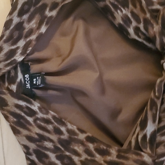 Leopard Print Dress - Picture 2 of 5